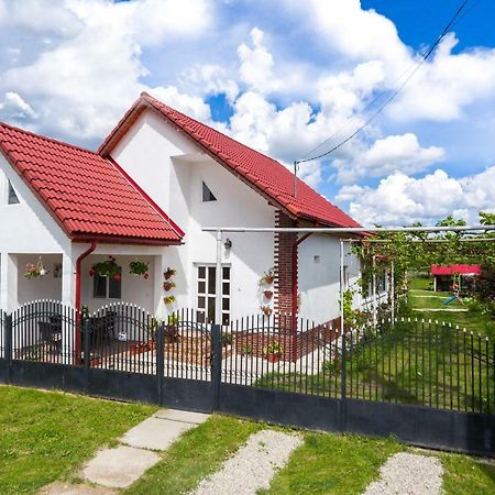 Casa De Vacanta Marya Baia de Fier Eksteriør billede