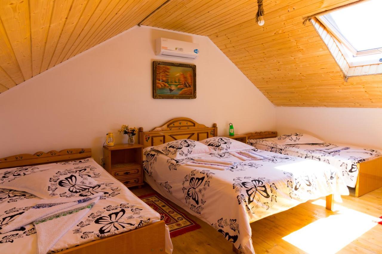Casa De Vacanta Marya Baia de Fier Eksteriør billede