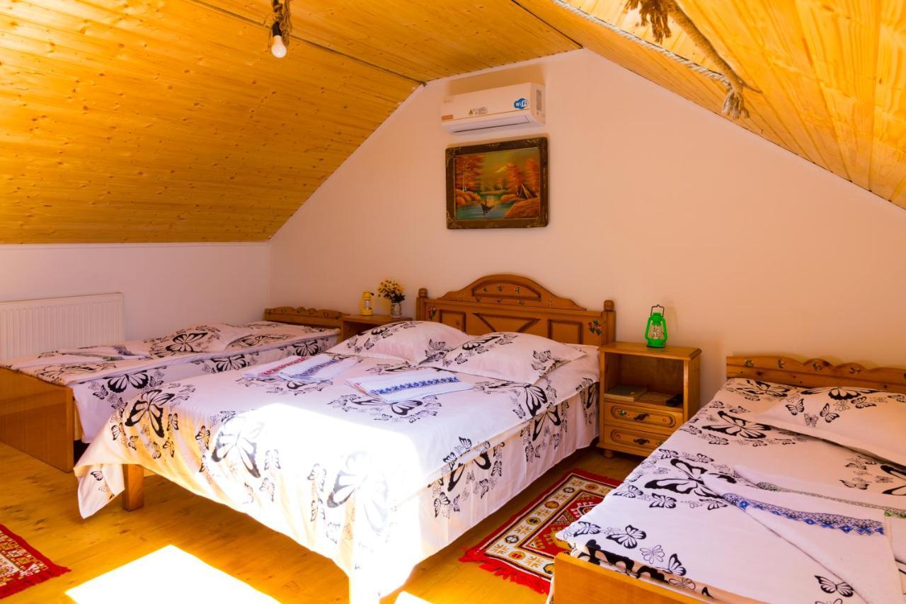 Casa De Vacanta Marya Baia de Fier Eksteriør billede