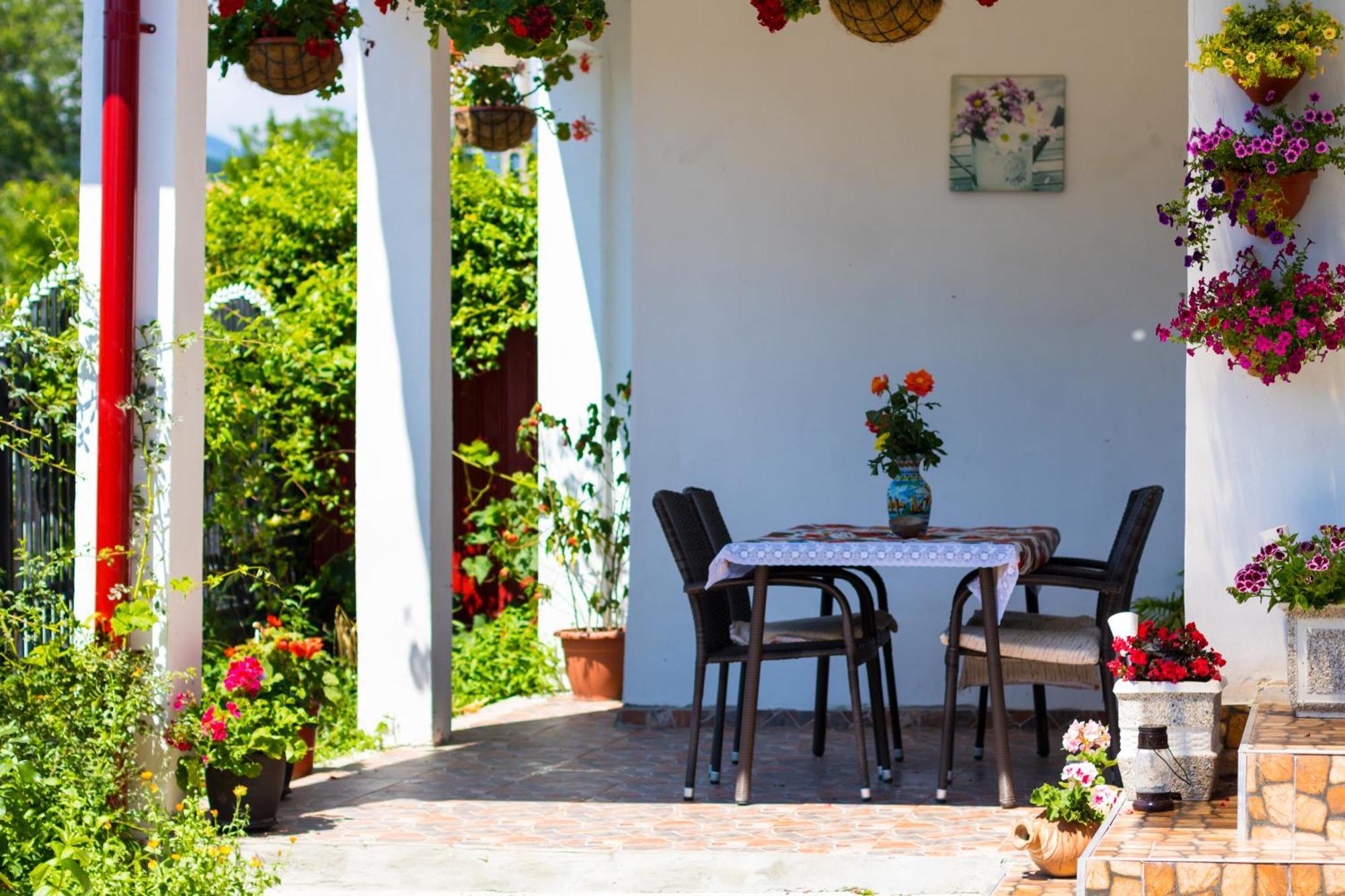 Casa De Vacanta Marya Baia de Fier Eksteriør billede